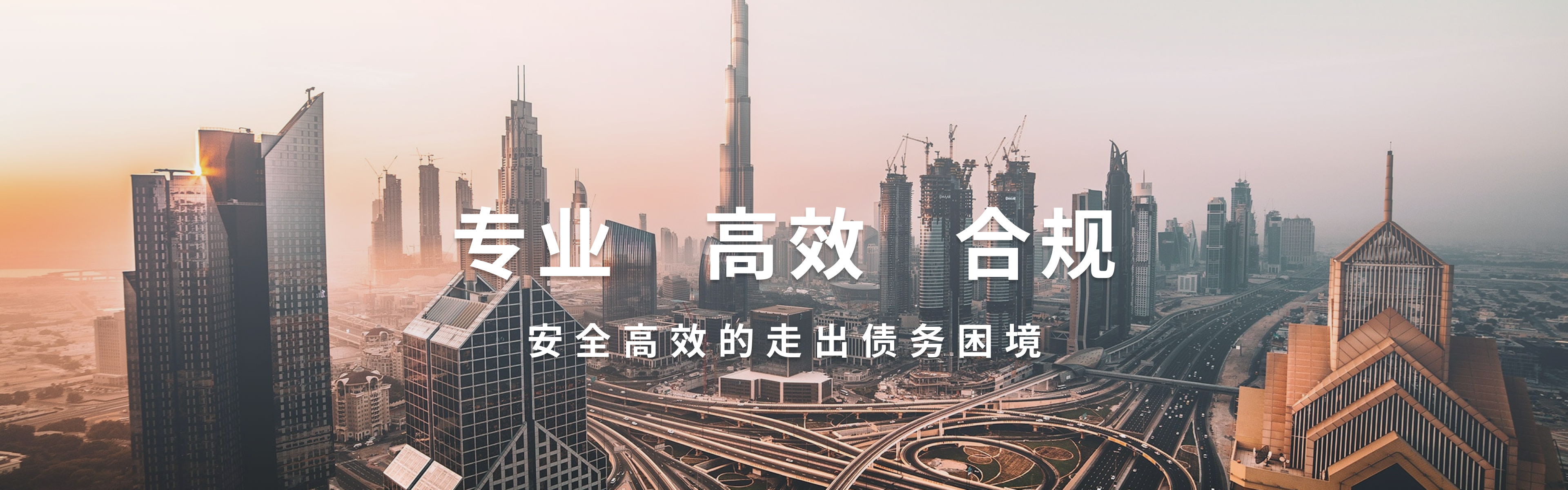 成都律而誉法律咨询有限公司